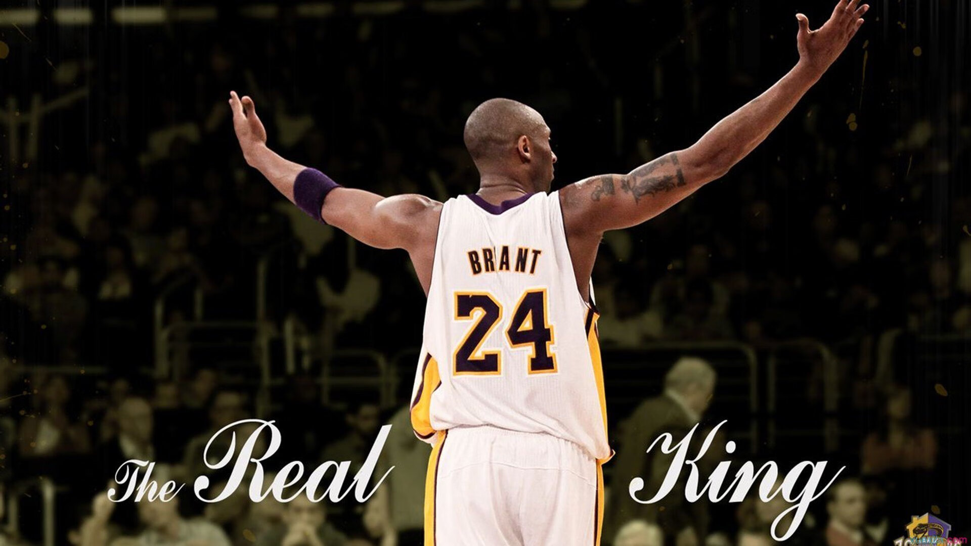 城市夜跑联盟启动，推动夜间运动文化多元发展，大型夜跑活动