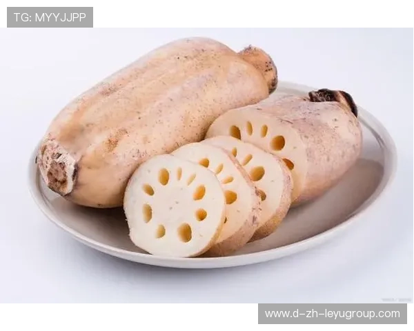 ¦ó+¡-+-°Â¿ÊÔ+Î¦·Ð³ú¼Â¦¦+Ê²È«¦Ñ-Í+++¦